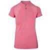 Swing Out Sister Ladies Simone Cap Sleeve Golf Polo Shirt -Golf Supplies Series 0079699 swing out sister ladies simone cap sleeve golf polo shirt