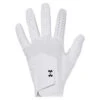 Under Armour Men's Iso-Chill Golf Glove 2 Under Armour Men's Iso-Chill Golf Glove -Golf Supplies Series 0084025 under armour mens iso chill golf glove